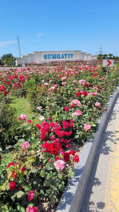 Apartment Sea View House Sumqayıt